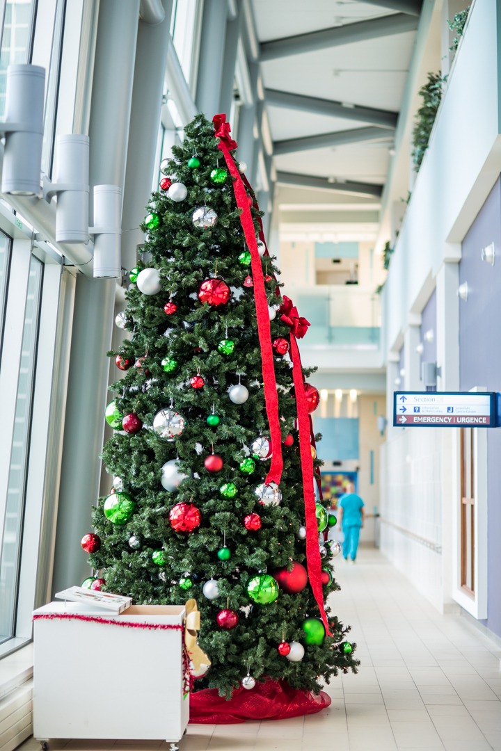 christmas-tree-juravinski-hospital-web-size-size-15